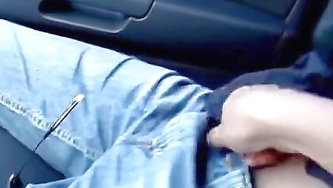 Com O Primo Em Viagem De Carro Para Paraiba