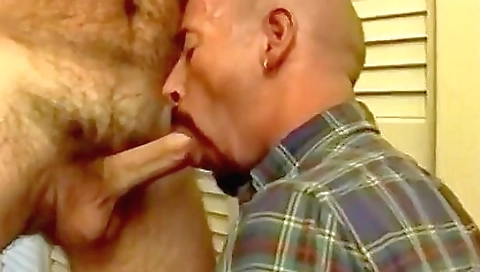 Hairy Twink Sucks Him Off Before Fucking His Arse