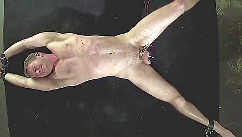 Police Chick Bdsm Porn Hd