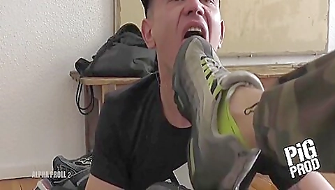 Oscar Wood - Pigprod - Alpha Proll 2